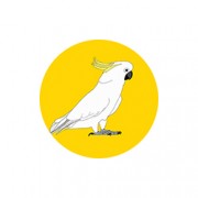 Bottle Opener + Magnet | Sulphur-crested Cockatoo